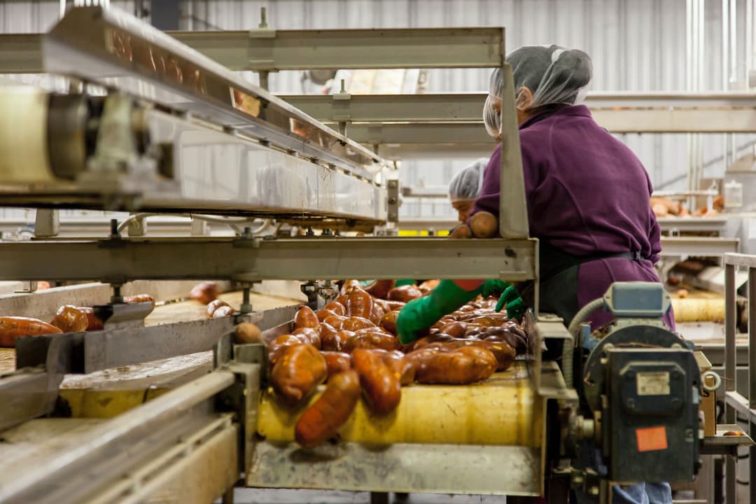 Non-free zone food industry